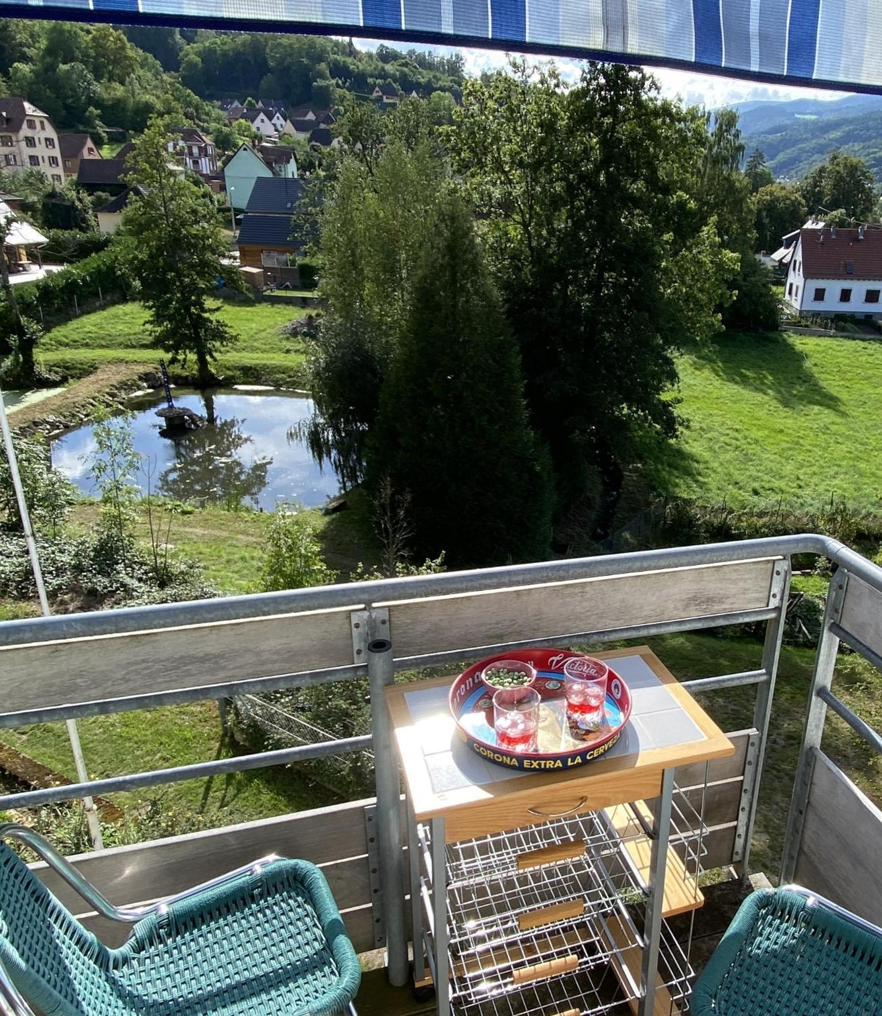 Appartements Maison Bellevue Munster (Haut-Rhin) Quarto foto