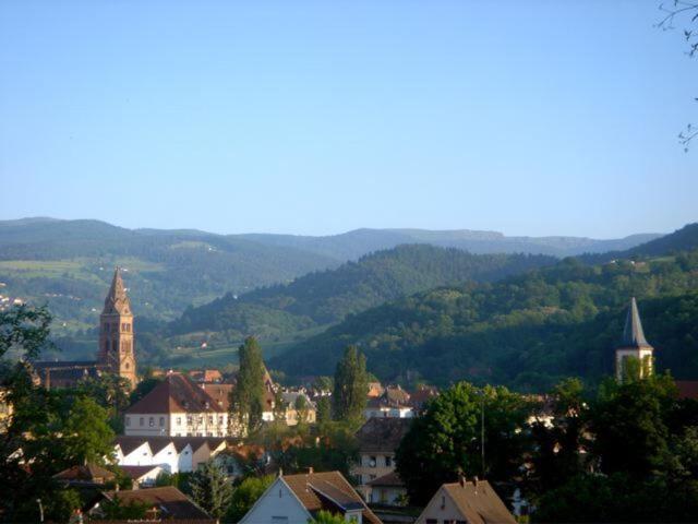Appartements Maison Bellevue Munster (Haut-Rhin) Quarto foto